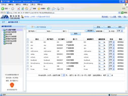 电子商务应用专家视角 大宗商品电子交易与信息化服务的融合发展